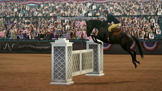 myhorse