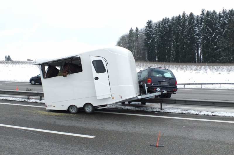 Un cavallo trasportato in un rimorchio causa incidente stradale