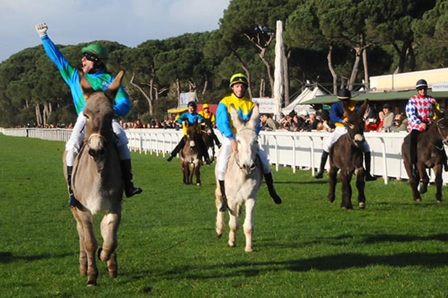 Gran Premio di Somaropoli all'ippodromo San Rossore