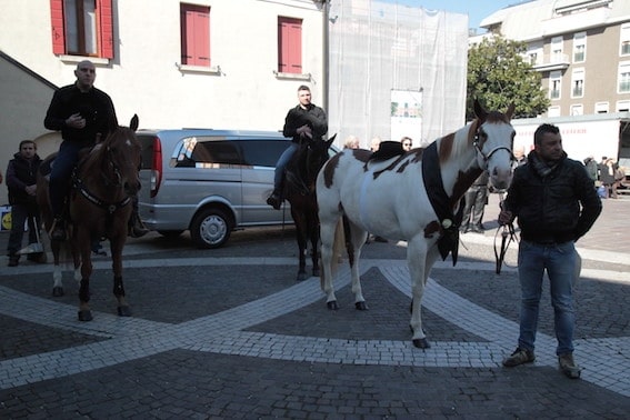 Il cavallo va al funerale del suo padrone