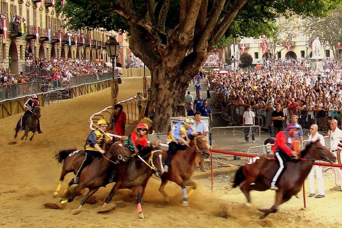 Un cavallo muore al Palio di Asti e la notizia viene tenuta nascosta